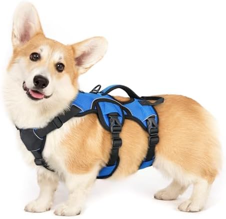 rabbitgoo Escape Proof Dog Harness by rabbitgoo