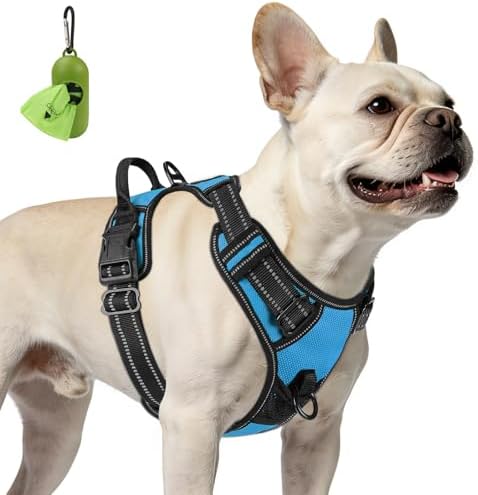 Joytale No Pull Dog Harness for Small Dogs, Front Clip, Sky Blue by Joytale