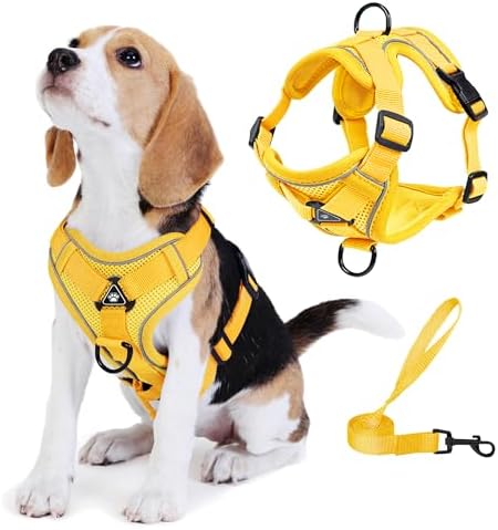 Dog Harness Small Sized Dog Pet Vest by Unknown