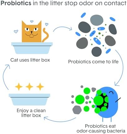 Boxie Probiotic Cat Litter, 40 Day Control, Clumping Clay Kitty Litter - Image 6