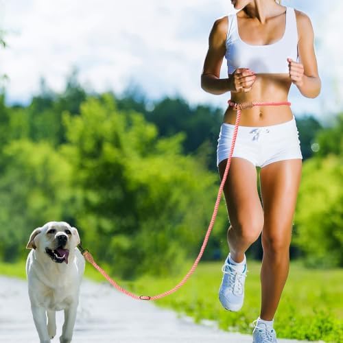 Mile High Life Hands Free Dog Leash, Crossbody Waist Leash - Image 2