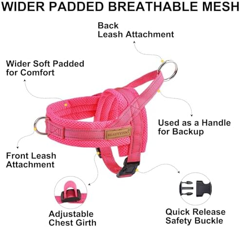 BEAUTYZOO Small Dog Harness and Leash Set, No Pull Step in Puppy Vest - Image 6