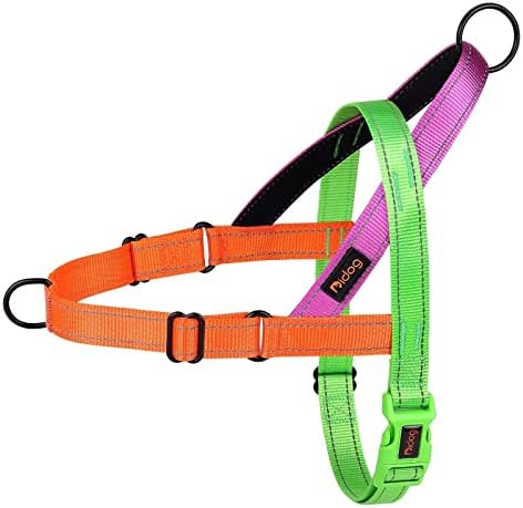 Didog No Pull Dog Harness for Large Dogs, Soft Padded Handle by Didog