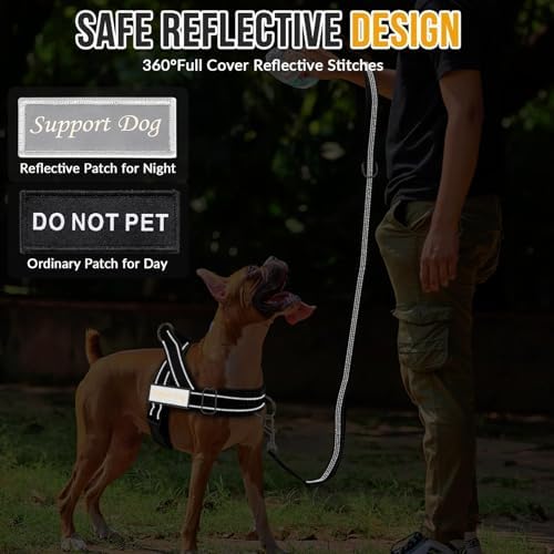 Lukovee No Pull Dog Harness and Leash Set, Soft Padded - Image 6