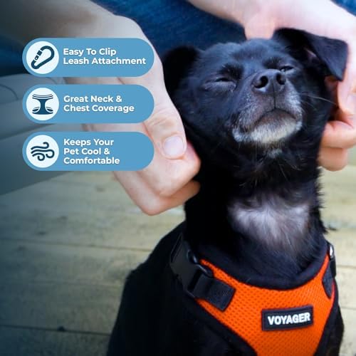Voyager Step-in Lock Dog Harness - Image 3
