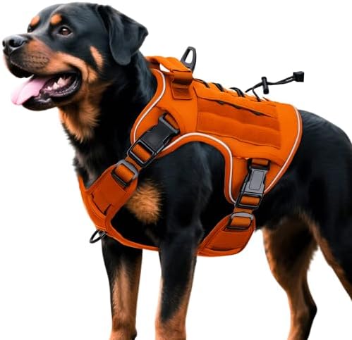 Heavy-Duty Tactical Dog Harness by Bruvoalon