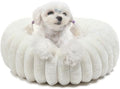Small Cat Beds for Indoor Cats by ZihapgpzpPetSupplies