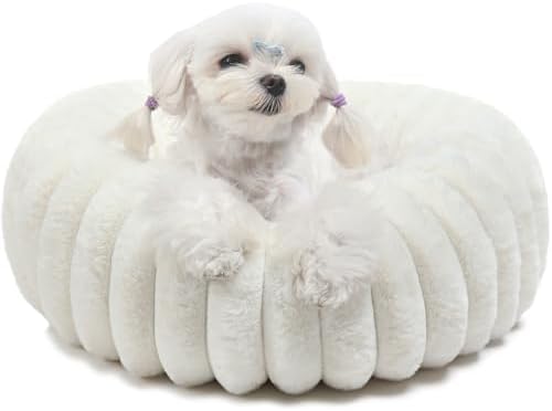 Small Cat Beds for Indoor Cats by ZihapgpzpPetSupplies