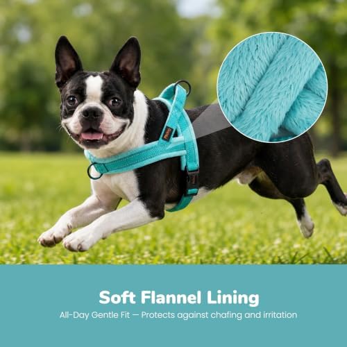Didog No Pull Dog Harness for Small Dogs, Soft Flannel Padded - Image 2