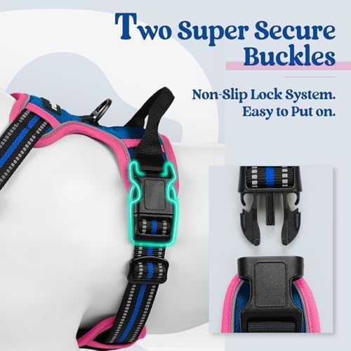 rabbitgoo Dog Harness, No Pull Medium Sized - Image 3