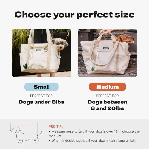 Cleverpup Transit Tote Dog Carrier 4-Piece Set - Image 3