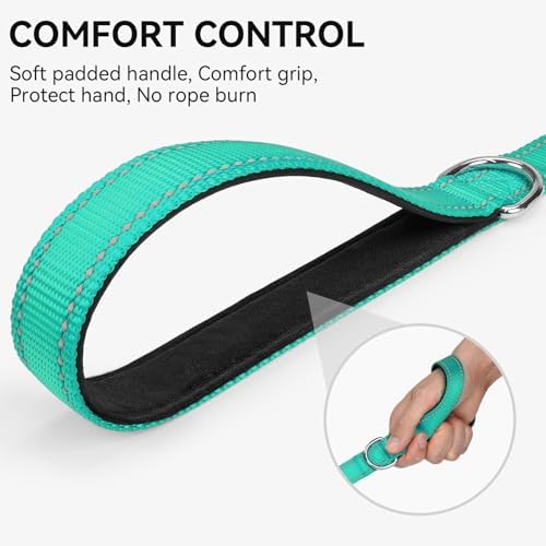 Joytale Reflective Dog Leash for Small Dogs, 4 FT x 3/4" - Image 3