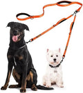 Dog Leash – Dual Reflective by Unknown