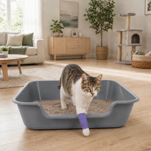 Extra Large Low Entry ABS Cat Litter Box, 2 Pack - Image 4
