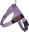BULLHUG Adjustable Dog Harness– No Pull, No Choke – by BULLHUG
