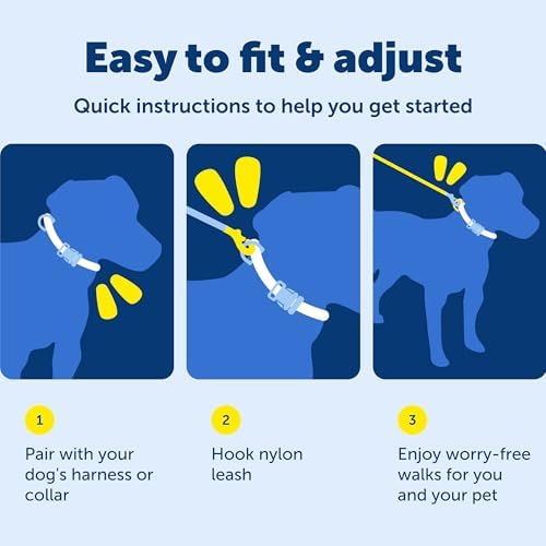 PetSafe Nylon Dog Leash, Raspberry Pink, 3/4 in x 4 ft - Image 6