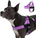 Dog Friendly Co. Dog Harness for Small Dogs by DogFriendly