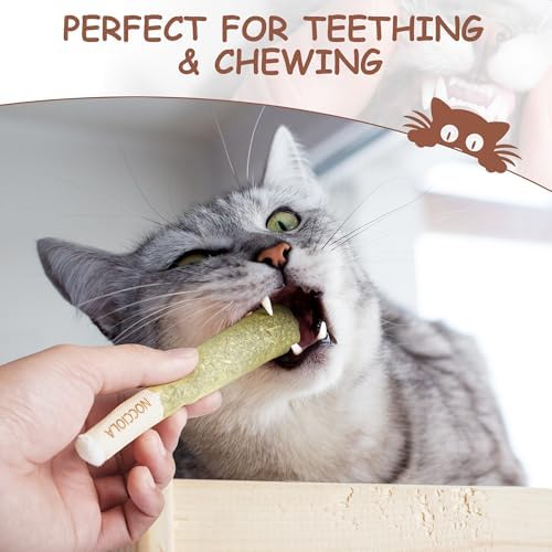 Nocciola 3 Pack Catnip Toys for Cats, Funny Cat Toys Filled - Image 4