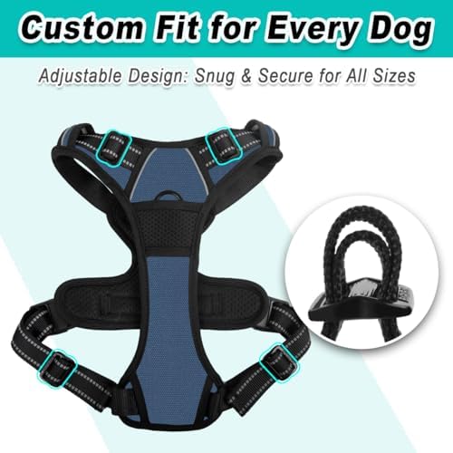 BARKBAY Dog Harness for Medium Sized Dog No Pull 2 Leash Clips Dog Vest - Image 6