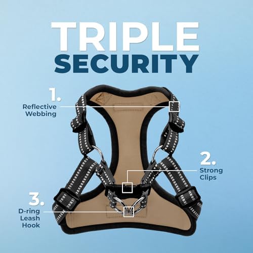 Best Pet Supplies Voyager Adjustable Step-in Flex Breathable Mesh Dog Harness - Image 2