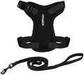 Voyager Step-in Lock Cat Harness & Leash Set by BestPetSuppliesLLC