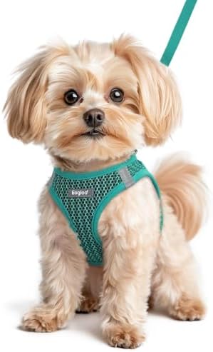 Eagloo Small Dog Harness and Leash Set, Step in Small Sized Puppy Pet Vest by GoExplorewithEagloo