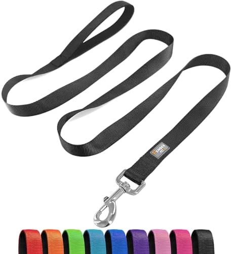 6 FT Reflective Dog Leash for Small Dogs by Penseepet