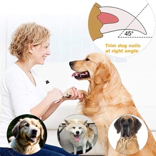 for Casfuy Dog Nail Grinder - Image 4