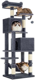 SONGMICS HOME Cat Tree for Indoor Cats, Hammock and Condo, Dark Gray by SONGMICSHOME