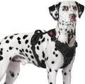 Eagloo Dog Harness No Pull for Large Dogs, Easy On & Off by GoExplorewithEagloo