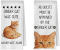 Orange Cat Kitchen Towels by Unknown