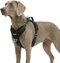 Funfox Dog Harness for X-Large Dog No Pull, Adjustable Pet Vest Harness by MyFUNFOX