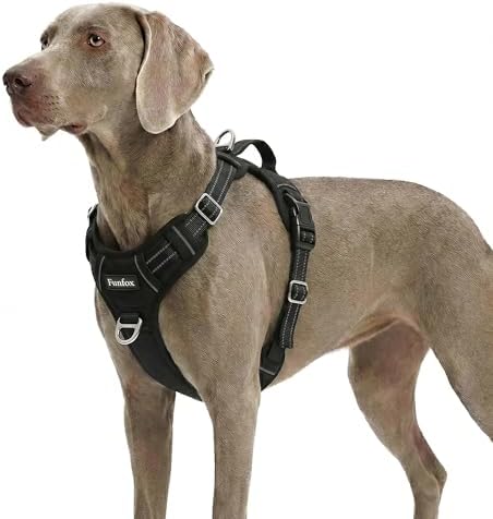 Funfox Dog Harness for X-Large Dog No Pull, Adjustable Pet Vest Harness by MyFUNFOX