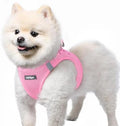 rabbitgoo Step-in Small Dog Harness, Puppy Vest by rabbitgoo