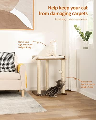 FourFurPets Modern Cat Tree for Large Cats, Full Sisal Cat Scratching Post - Image 2