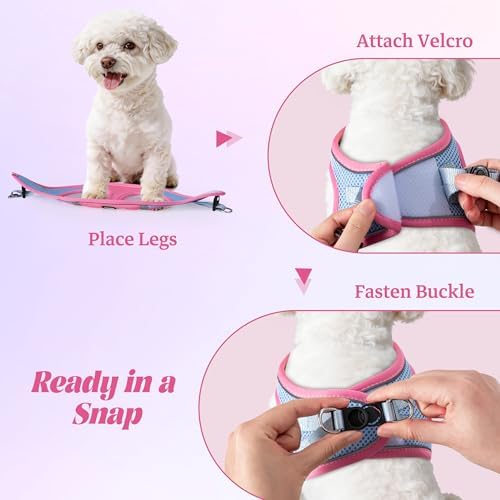 No Pull Dog Puppy Harness and Leash Set Reflective Mesh Vest XX-Small - Image 4