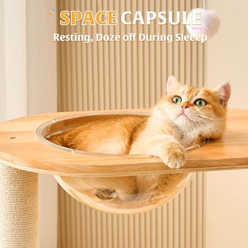 HITTITE Solid Wood Cat Tree Tower - Image 6