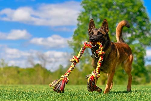 Mammoth Flossy Chews Multi Color 5 Knot Rope Tug – Premium Cotton-Poly Tug Toy - Image 5