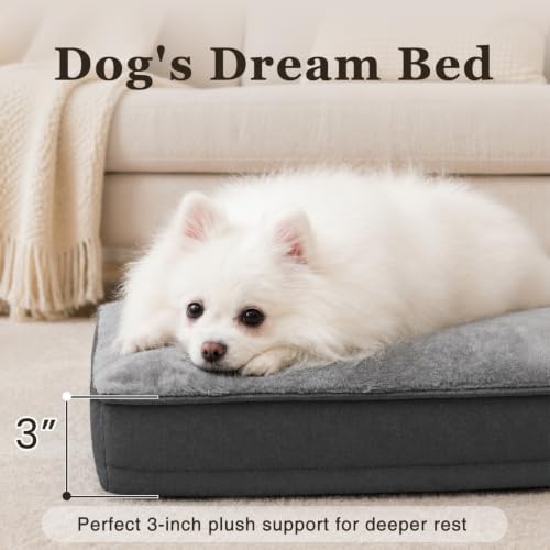 NUPIDA Waterproof Small Dog Bed - Image 4