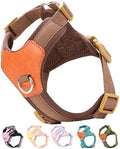 Brown xs Dog Harness for Small Dogs, No Pull Dog Harness by SOLMOONY