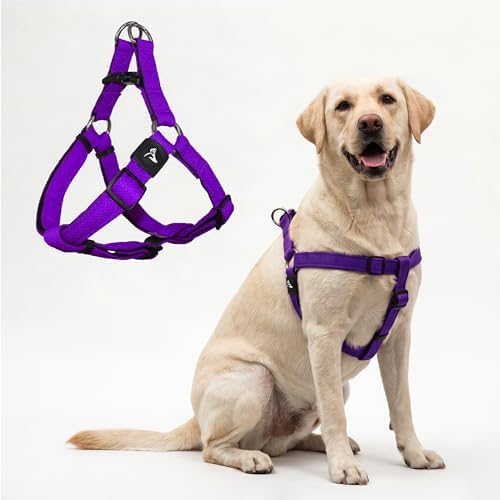 Kruz No Pull Dog Harness Heavy-Duty Pet Harness by KRUZPET