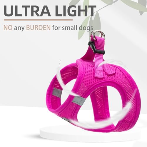 PUPTECK Dog Harness, Collar and Leash Set No Pull - Image 5