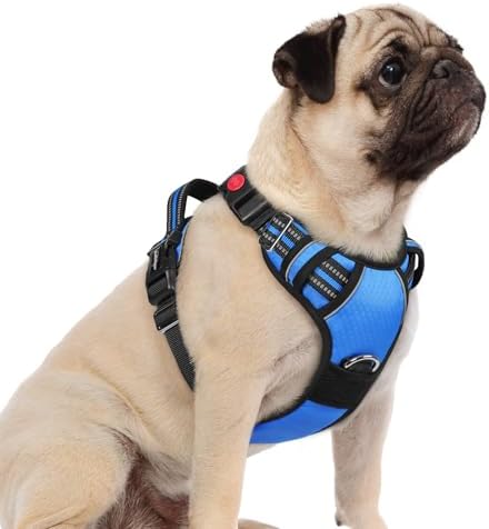 rabbitgoo Dog Harness Small Sized, No Pull 3 Buckles Easy On & Off by rabbitgoo