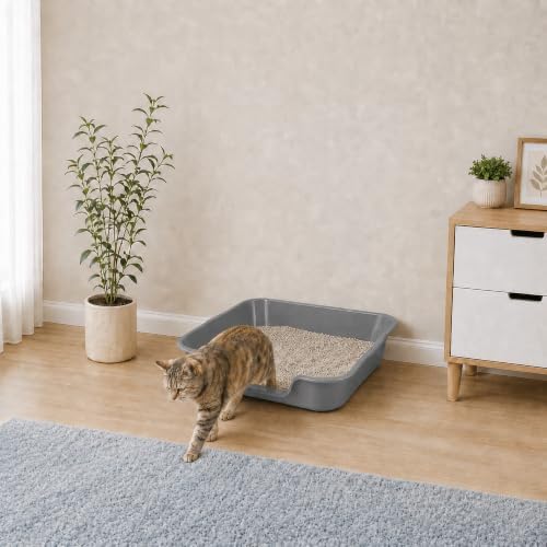 Extra Large Low Entry ABS Cat Litter Box, 2 Pack - Image 2