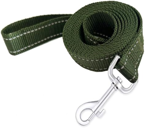 Reflective Dog Leash 4Ft /6 Feet Long, 3/4 Inch Wide, by TAIDA