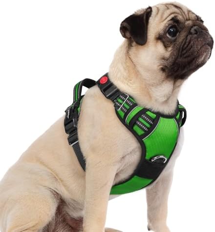 rabbitgoo Dog Harness Small Sized, No Pull 3 Buckles Easy On & Off by rabbitgoo
