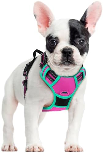 rabbitgoo Dog Harness, No Pull for Small Dogs by rabbitgoo