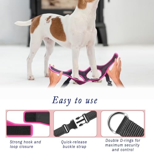 Comfort fit Step-in Dog & Puppy Harness - Image 5