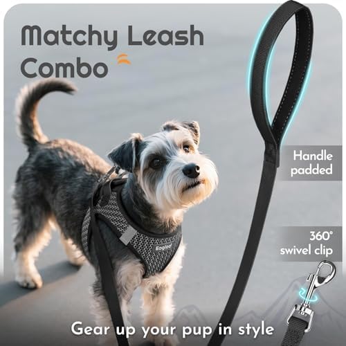 Eagloo Small Dog Harness and Leash Set, Step in Small Sized Puppy Pet Vest - Image 6