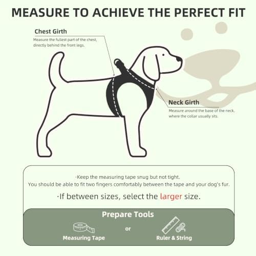 PUPTECK Dog Harness, Collar and Leash Set No Pull - Image 2
